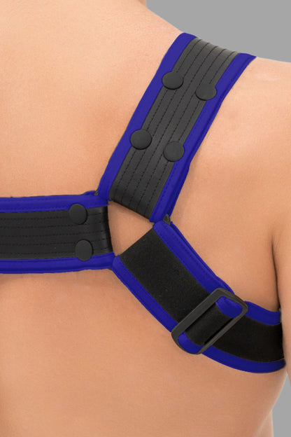 Outtox. Bulldog Harness with Snaps. Black+Blue &